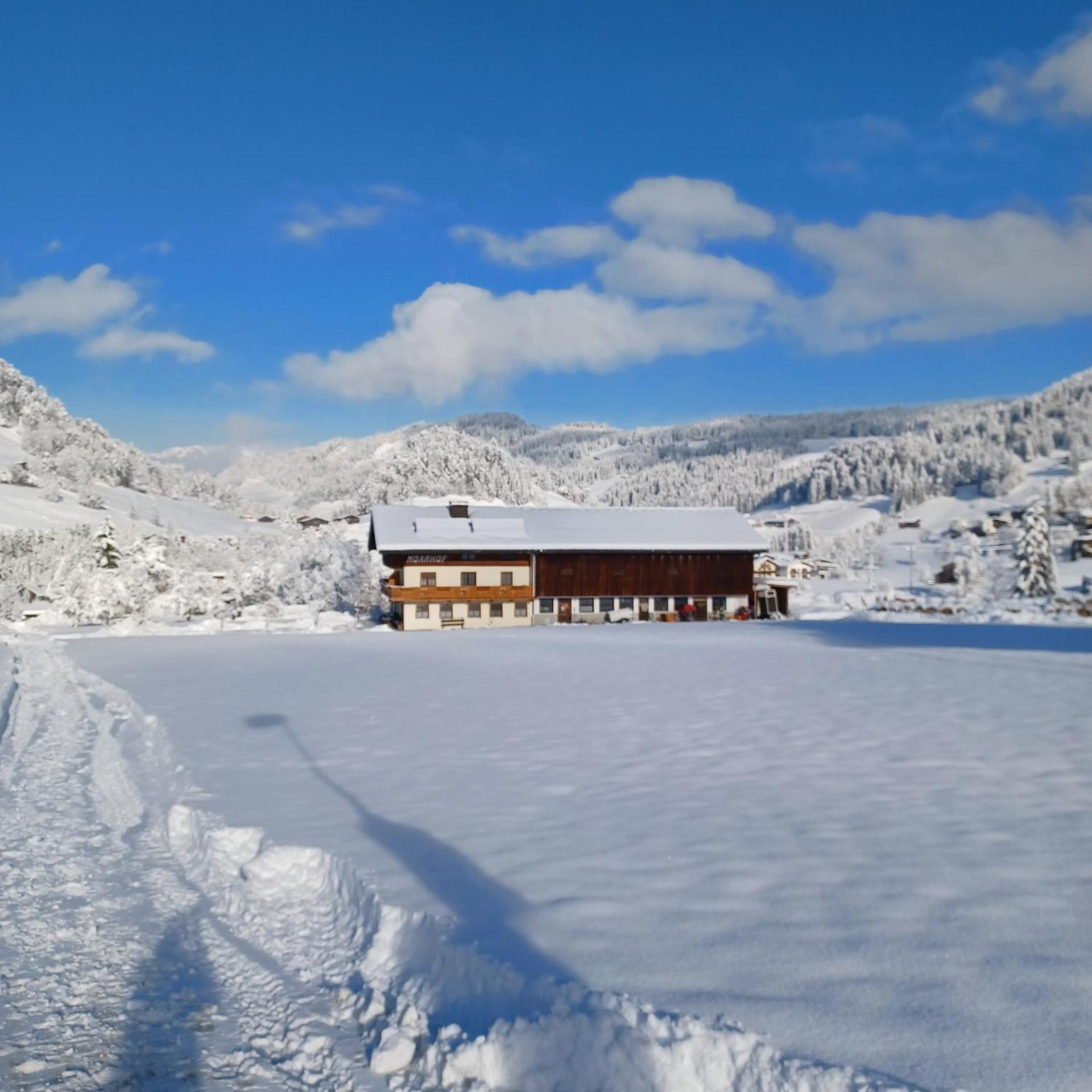 Moarhof Appartements Niederau Εξωτερικό φωτογραφία